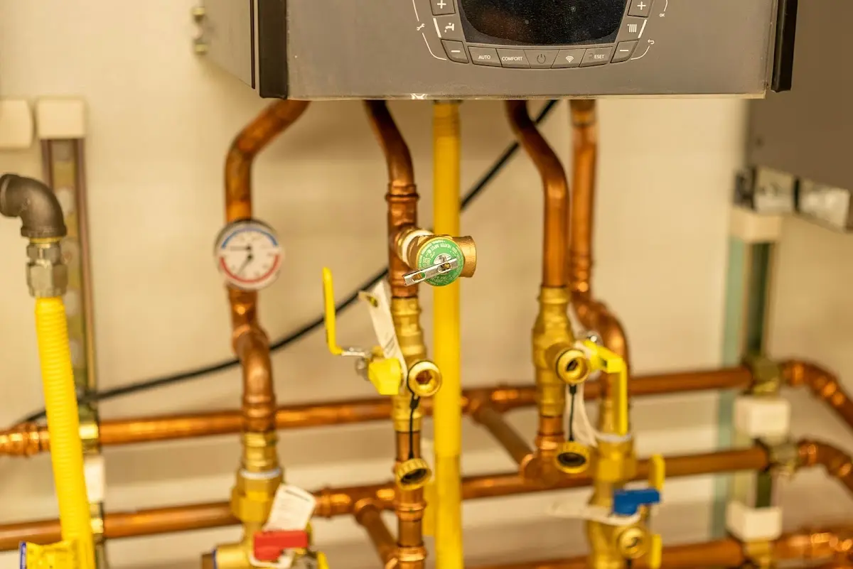 Licensed technician providing Sump Pump Repair for a homeowner in Hailey